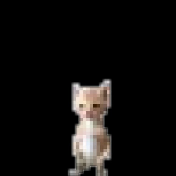 WHAT - Picture 2 of 3